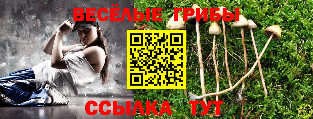 закладки  Галлюциногенные грибы Psilocybe  Вход с VPN  Берёзовский 
