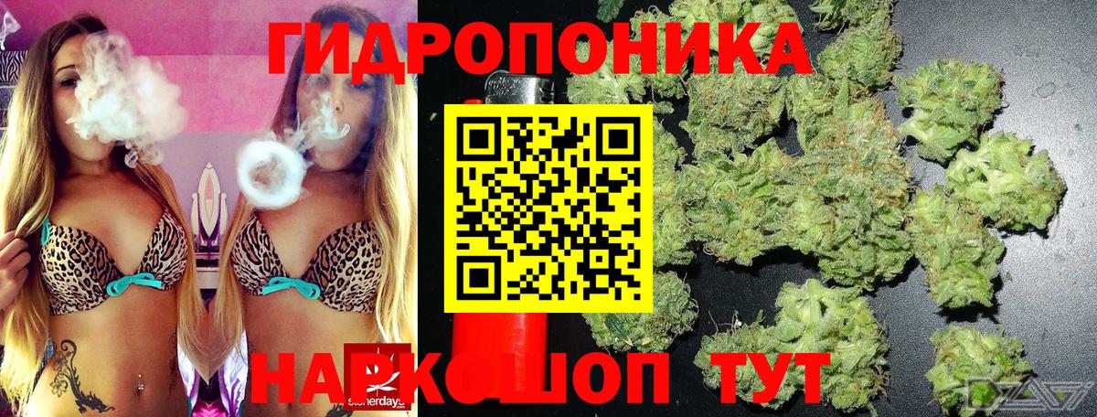 Марихуана OG Kush Берёзовский